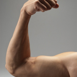 3 nejlepší cviky na zvýšení objemu bicepsu