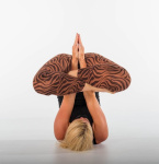 Základní pozice v power joze aneb Jak úspěšně začít