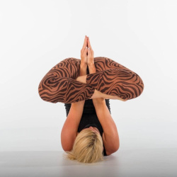 Základní pozice v power joze aneb Jak úspěšně začít