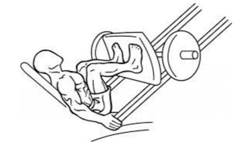 Leg press